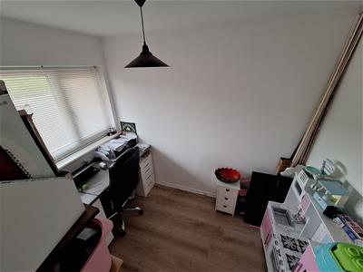 Picture 13